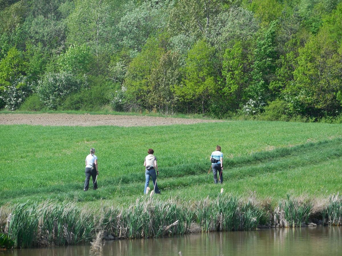 Pension "Der Sulzbachhof" Lehrberg Bagian luar foto
